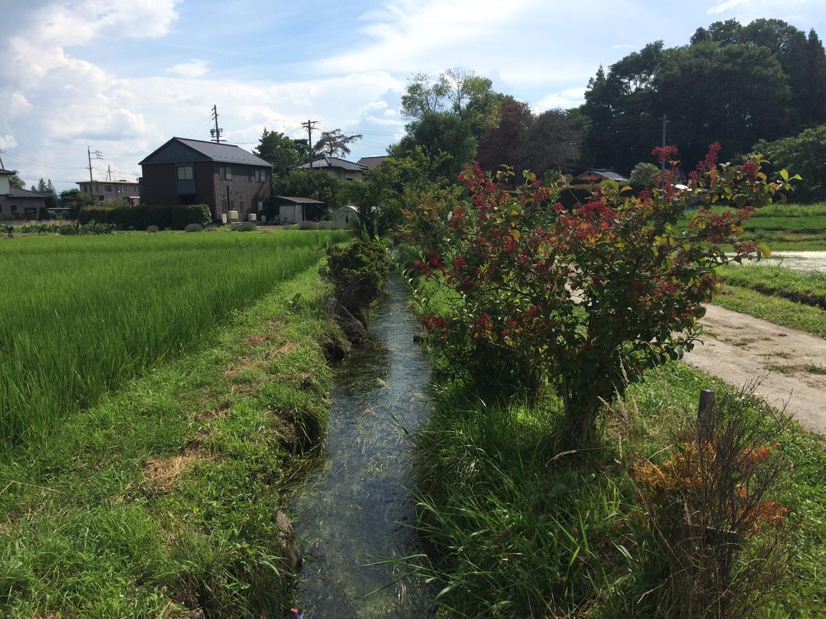 En Guest House Matsumoto Dış mekan fotoğraf